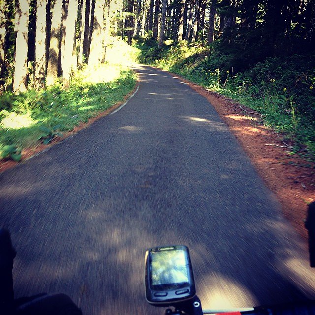 Some nice forest service roads out here. #gravelepic #trustyswitchblade
