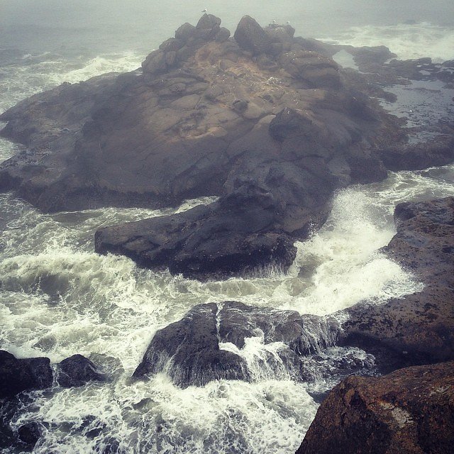 Jumped around rocks, played in some tide pools and watched waves. Doing my inner 8yo proud.