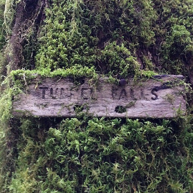 I really enjoyed nature trying to take back this sign. #eaglecreek #tunnelfalls