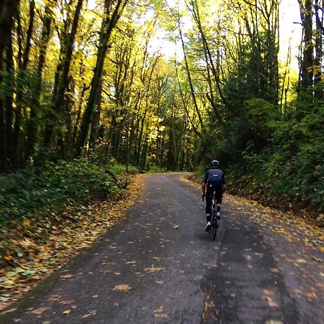 Chasing @bikebumb and chasing the fall colors. Magical out right now in the PNW.